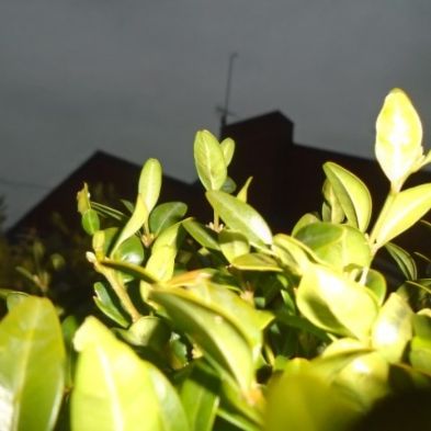 tsa_PhotoClubWk13 (2)